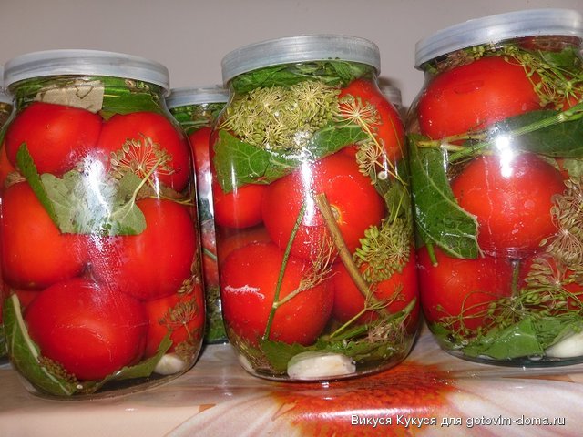 соленые помидоры ликулины1.jpg
