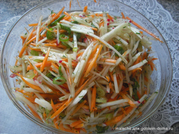 salat iz morkovi, kol'rabi i redisa.jpg