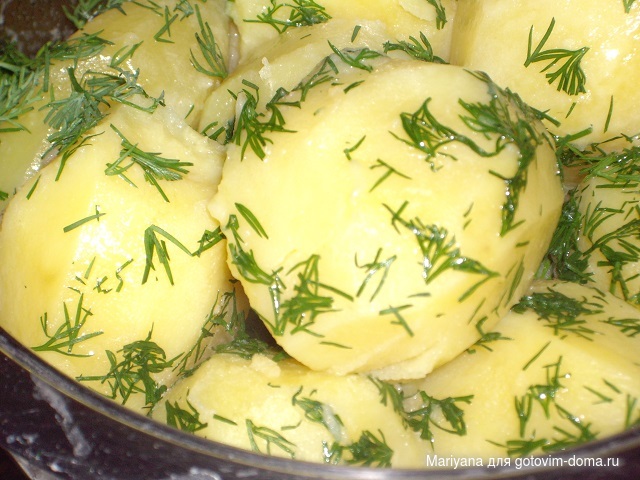 Картошка с маслом и укропом.JPG