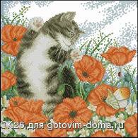 BK130-Poppy cat.jpg