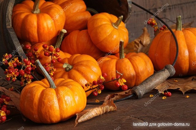 depositphotos_4175460-stock-photo-small-pumpkins-with-wood-bucket.jpg
