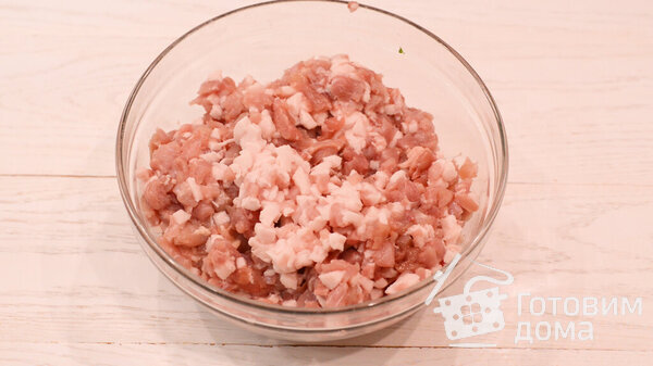 Колбаса Домашняя (из свинины с курицей и чесноком) фото к рецепту 1