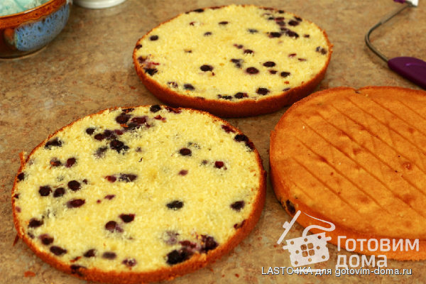 Lemon-Blueberry Macaron Delight Cake-торт&quot;Восторг&quot; фото к рецепту 14