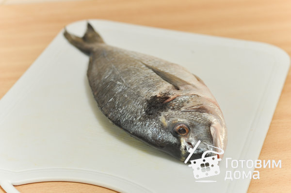 Дорадо, фаршированная жюльеном из морепродуктов фото к рецепту 1