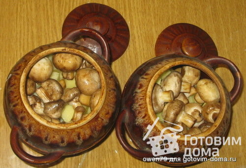 Жаркое с грибами в горшочках фото к рецепту 3