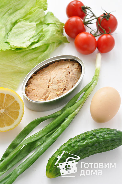 Овощной салат с тунцом и яйцом фото к рецепту 1