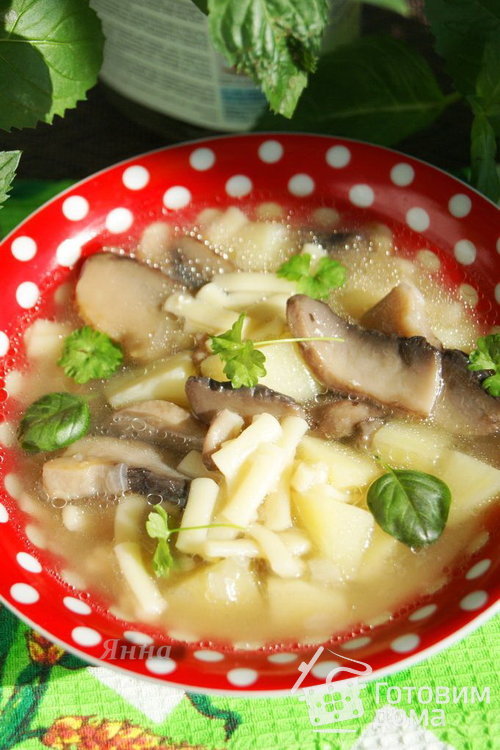 Синкапур - грибной суп с лапшой
