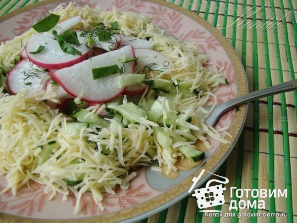Салат из редиски и огурцов (Salade de radis et de concombres фото к рецепту 1