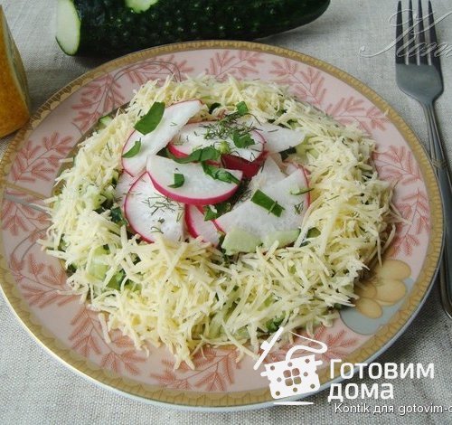Салат из редиски и огурцов (Salade de radis et de concombres