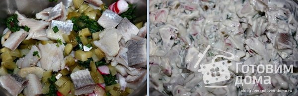 Салат из селедки с редиской и солеными огурцами фото к рецепту 2