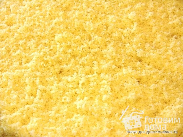 Бисквит на желтках + заварной сметанный крем фото к рецепту 4