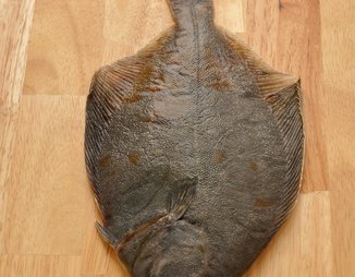 Камбала (разделка плоской рыбы на филе)