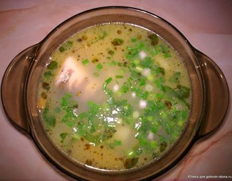 Густой суп с ледяной рыбой